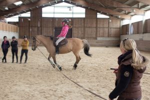 Stage - Mise en selle - Club d'équitation à Francheville - La Clairière du Findez