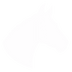 Logo de tete de cheval