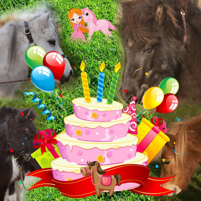 Montage anniversaire avec 2 poneys en arrière plan