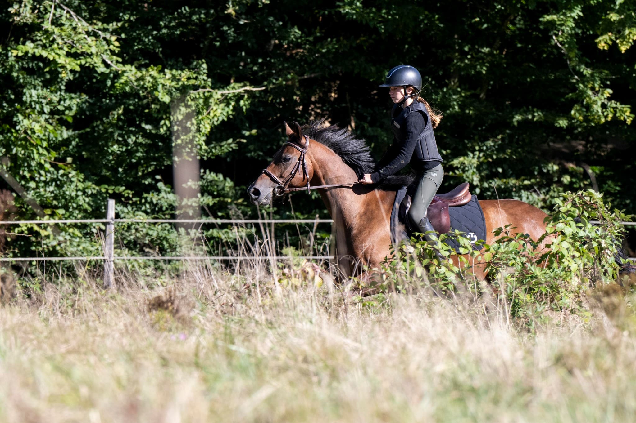 Cavalière sur le terrain de cross avec son cheval