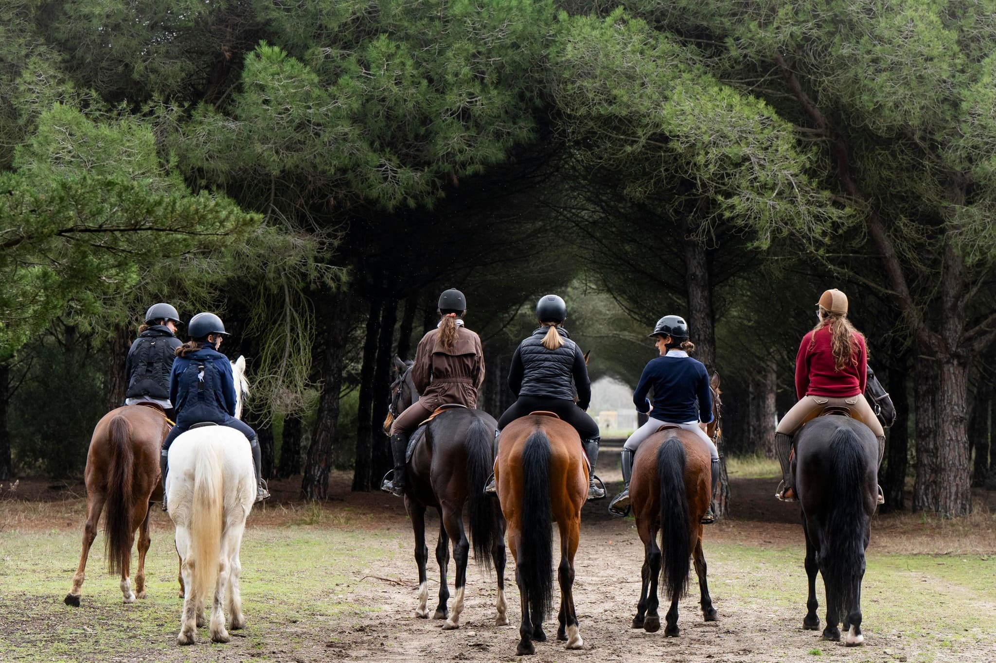 Cavaliers en balade à cheval, à l'entrée d'une forêt
