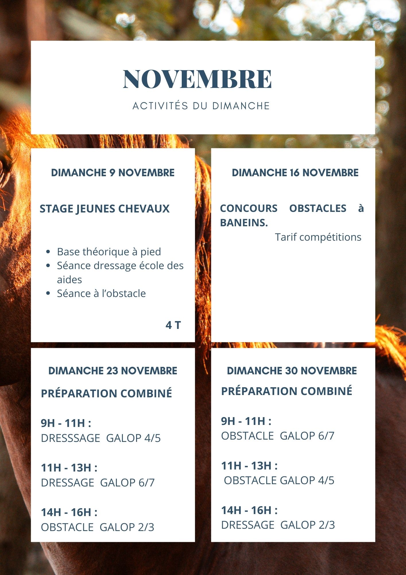 NOVEMBRE affiche stage à poney