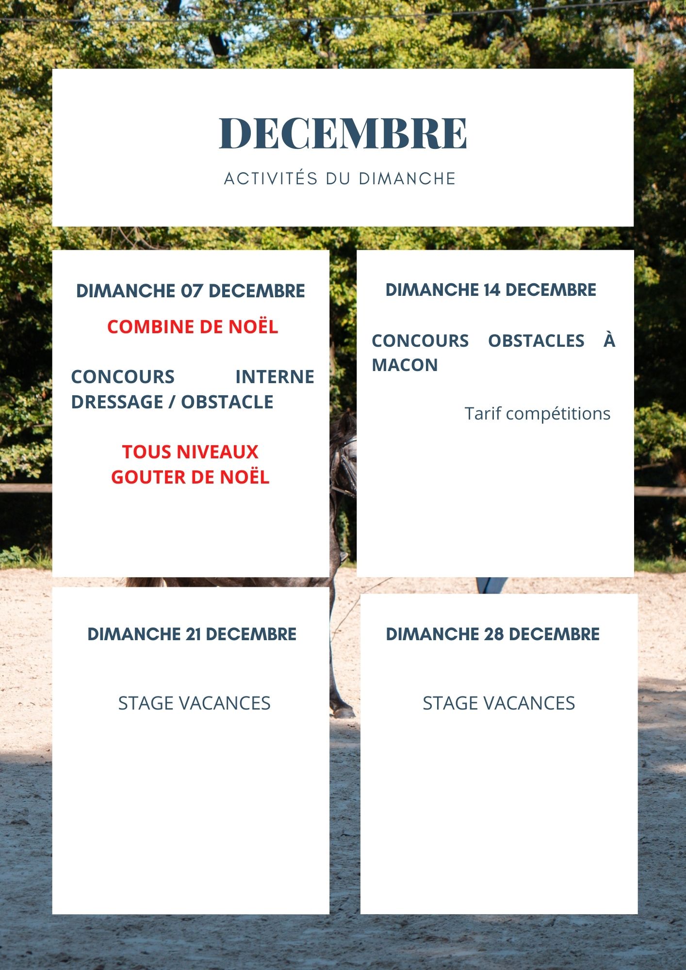 decembre stage à cheval Lyon