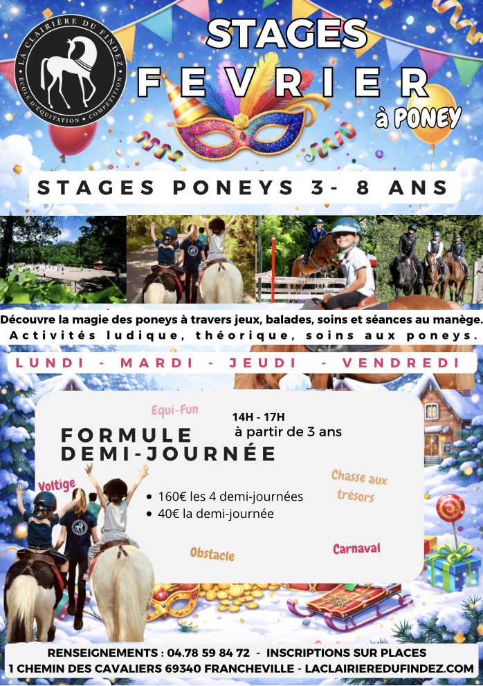 Capture d’écran 2026-01-07 à 13.34.46 stage à cheval Lyon