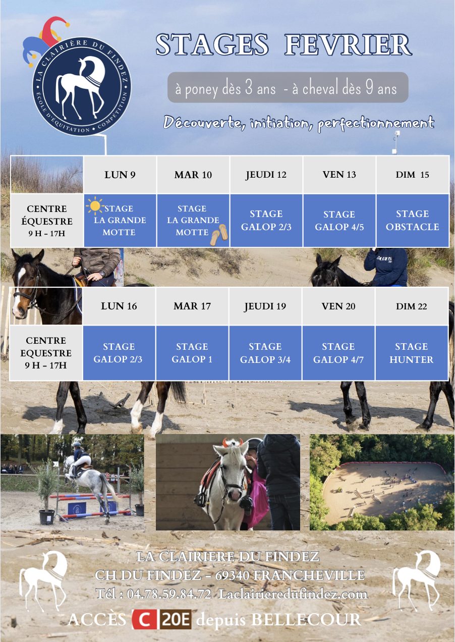 Capture d’écran 2026-01-07 à 13.39.10 affiche stage à poney