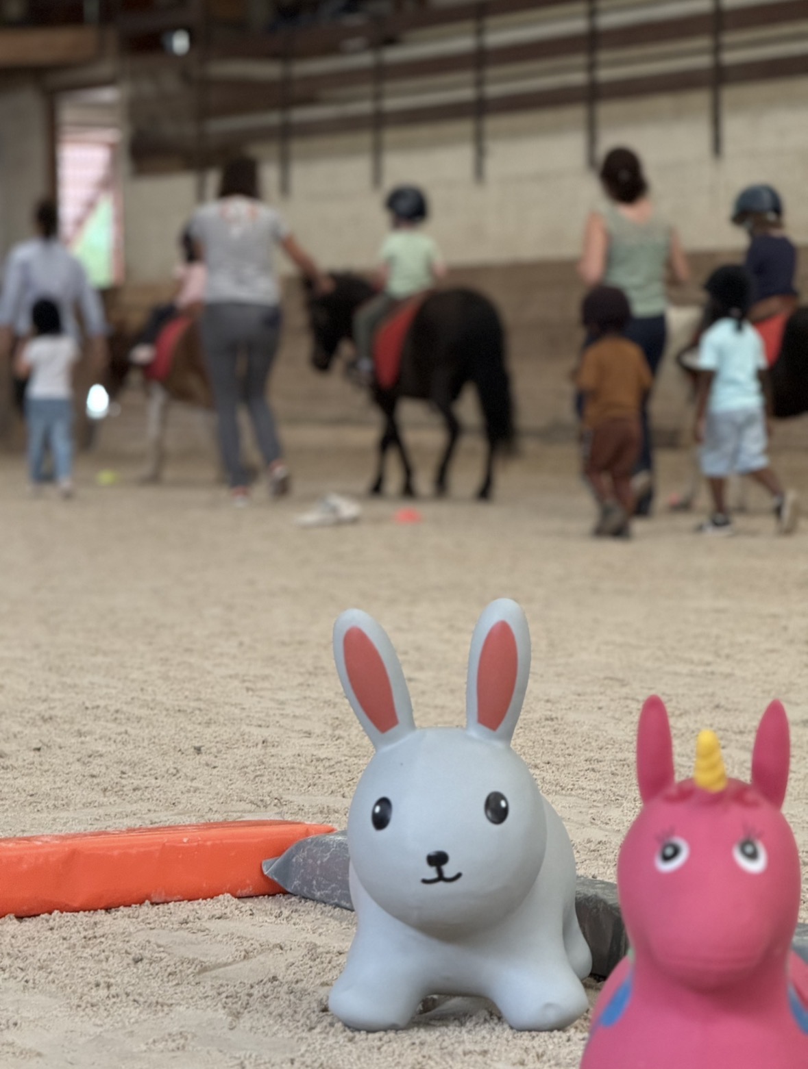 Montage anniversaire avec 2 poneys en arrière plan