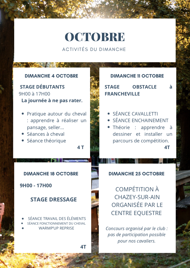 ACTIVITÉS OCTOBRE stage à cheval Lyon